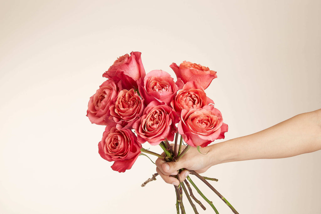 Red Rose Ecuador - Test Item 2