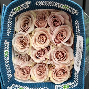 Import ecuador roses,roses,Import Roses ดอกไม้นำเข้าจากเอกวาดอร์ ดอกกุหลาบ ดอกกุหลาบนำเข้า ดอกไม้สด